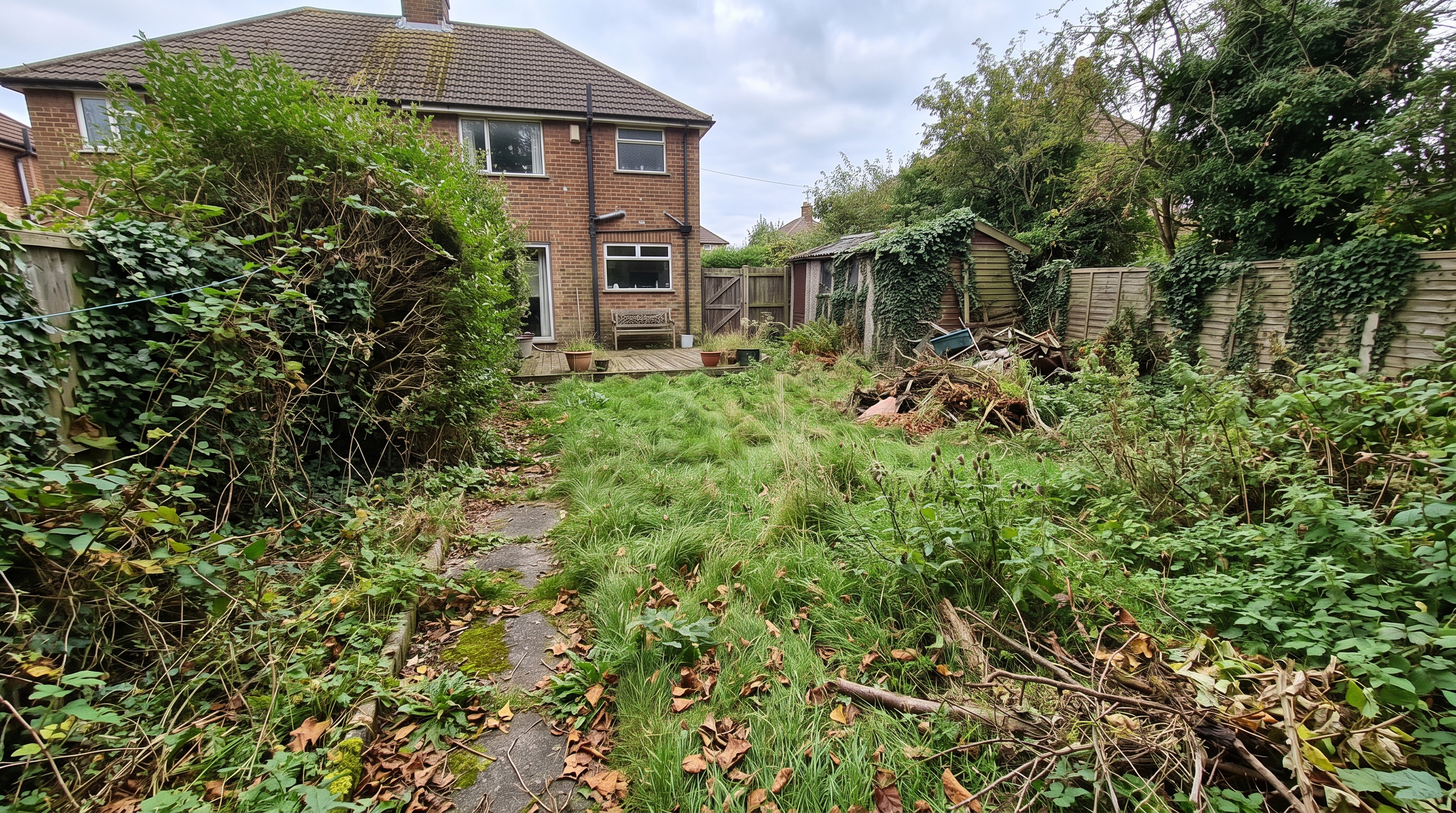 Before Garden Clearance